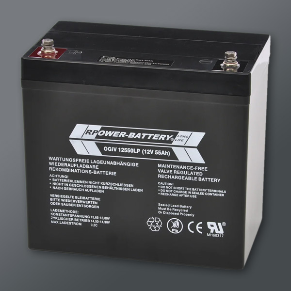 Batteri OGiV 12550LP AGM 12V 55Ah - Xact Nödbelysning AB